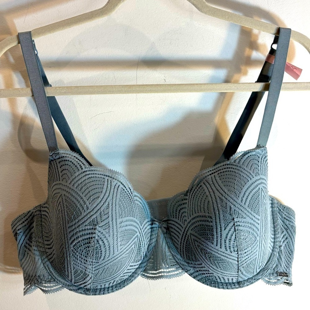 LA VIE EN ROSE Sz 40C Underwire Padded Art Deco Style Overlay NEW WITH TAG